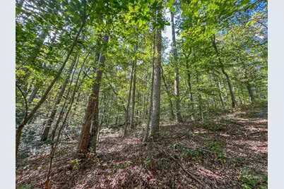 30129 Stevens Branch Road, Londonderry, OH 45647 - Photo 22