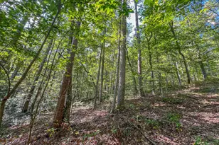 30129 Stevens Branch Rd, Londonderry, OH 45647 - Photo 22