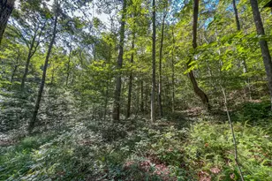 30129 Stevens Branch Rd, Londonderry, OH 45647 - Photo 24