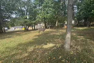 36B Harding Rd, Zanesville, OH 43701 - Photo 1