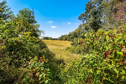 3044 Jasmine Road NW, Carrollton, OH 44615 - Photo 64