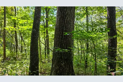 0 Tucker Road #(Tract A at Hocking Hideout), New Straitsville, OH 43766 - Photo 24