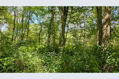 0 Tucker Road #(Tract A at Hocking Hideout), New Straitsville, OH 43766 - Photo 48