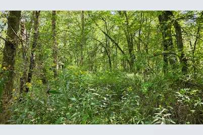 0 Tucker Road #(Tract A at Hocking Hideout), New Straitsville, OH 43766 - Photo 50