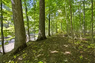 4449 Larue-Prospect Rd S, Prospect, OH 43342 - Photo 12