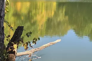 3310 State Rte 61, Cardington, OH 43315 - Photo 34