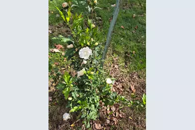 3310 State Route 61, Cardington, OH 43315 - Photo 50