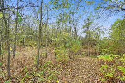 9730 Butcher Road, Mount Vernon, OH 43050 - Photo 6