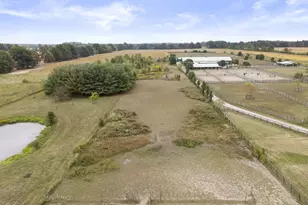 13017 Adams Rd, Plain City, OH 43064 - Photo 50