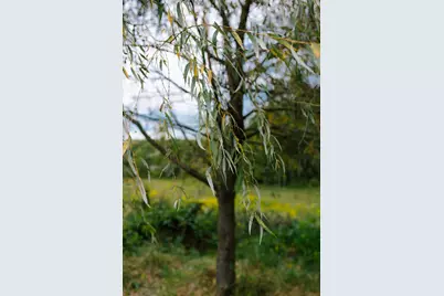 14686 National Road SE, Thornville, OH 43076 - Photo 130