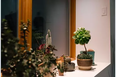 14686 National Road SE, Thornville, OH 43076 - Photo 140