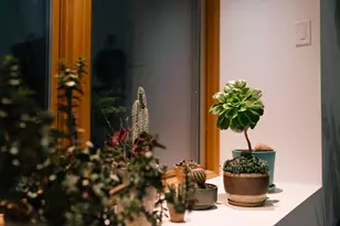 14686 National Rd SE, Thornville, OH 43076 - Photo 140