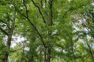 1573 Graham School Rd, Gallipolis, OH 45631 - Photo 32