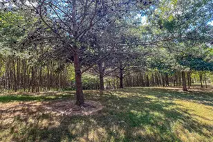 64310 State Route 56, Creola, OH 45622 - Photo 12