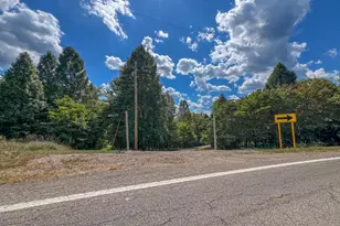 64310 State Route 56, Creola, OH 45622 - Photo 24