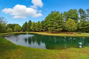 4444 N State Route 61, Sunbury, OH 43074 - Photo 80