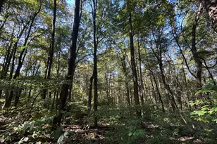 16604 Texas Rd SE, Heath, OH 43056 - Photo 44