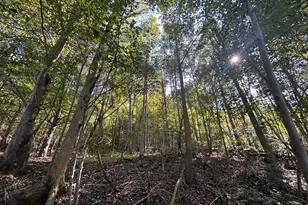 16604 Texas Rd SE, Heath, OH 43056 - Photo 42