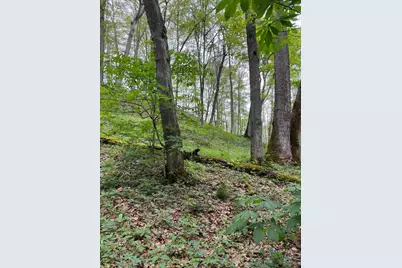 41060 Dawley New Pittsburg Road, Nelsonville, OH 45764 - Photo 2