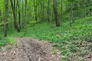 41060 Dawley-New Pittsburg Rd, Nelsonville, OH 45764 - Photo 1