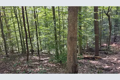 0 Tucker Road #(Tract D at Hocking Hideout), New Straitsville, OH 43766 - Photo 32