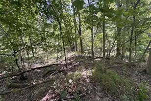 973 Golf Course Rd, Waverly, OH 45690 - Photo 52