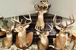 5586 Taylor Rd, Marysville, OH 43040 - Photo 60