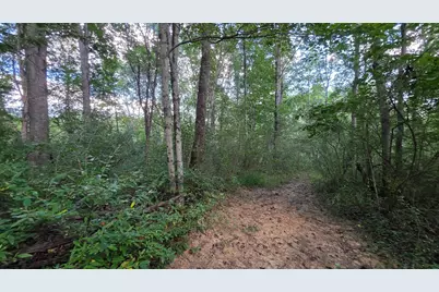 7783 Township Road 216 SE #(Lil Slice of Heaven Cabin), Corning, OH 43730 - Photo 2