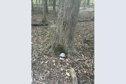 682 County Road 204, Centerburg, OH 43011 - Photo 4