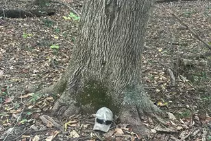 682 County Rd 204, Centerburg, OH 43011 - Photo 4