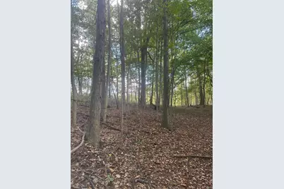 682 County Road 204, Centerburg, OH 43011 - Photo 2