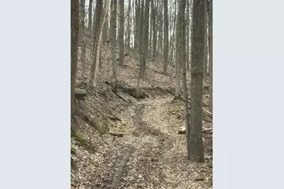 0 Bellia Rd Road, Laurelville, OH 43135 - Photo 6