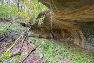 15791 Willow Creek Rd, Athens, OH 45701 - Photo 28