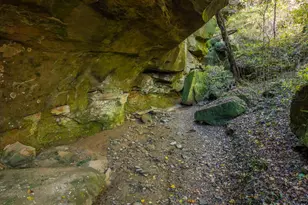 15791 Willow Creek Rd, Athens, OH 45701 - Photo 4