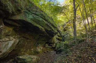 15791 Willow Creek Rd, Athens, OH 45701 - Photo 22