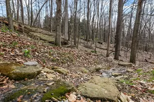 256 Pinehurst Dr, Granville, OH 43023 - Photo 84