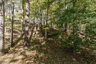 256 Pinehurst Dr, Granville, OH 43023 - Photo 66