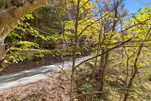 1025 Smokey Hollow Rd, Thurman, OH 45685 - Photo 8