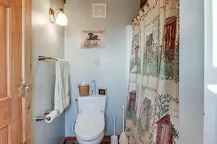 9058 Peters Rd, Ashley, OH 43003 - Photo 34