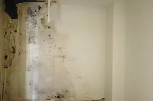 8 N 8th St, Newark, OH 43055 - Photo 12