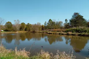 6320 Nichols Ln Road NW, Johnstown, OH 43031 - Photo 4