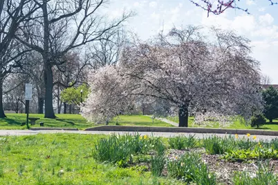 46 W Russell Street, Columbus, OH 43215 - Photo 36