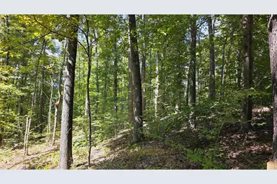 0 Tucker Road #(Tract C at Hocking Hideout), New Straitsville, OH 43766 - Photo 6