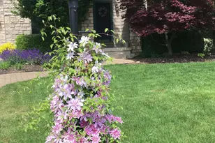 2165 Ben Brush Pl, Lewis Center, OH 43035 - Photo 78