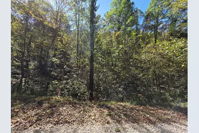 0 Newells Run Road, Marietta, OH 45750 - Photo 18