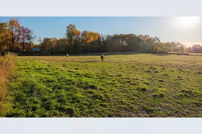 6351 US Highway 42, Mount Gilead, OH 43338 - Photo 34