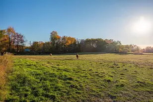 6351 US Hwy 42, Mount Gilead, OH 43338 - Photo 34