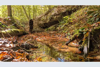 8649 Portie-Flamingo Road SE, New Lexington, OH 43764 - Photo 8