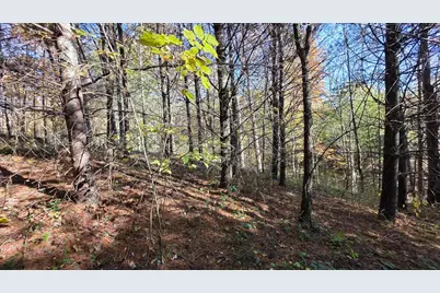 7659 Township Road 216 SE #(Lot 4 at Scenic Trails), Corning, OH 43730 - Photo 46