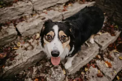 13196 Middlefork Road, Amanda, OH 43102 - Photo 86